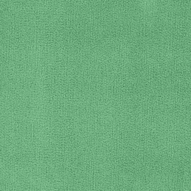 16 oz wintergreen | Aisle Carpet | 16 Oz Carpet Options | The Inside Track