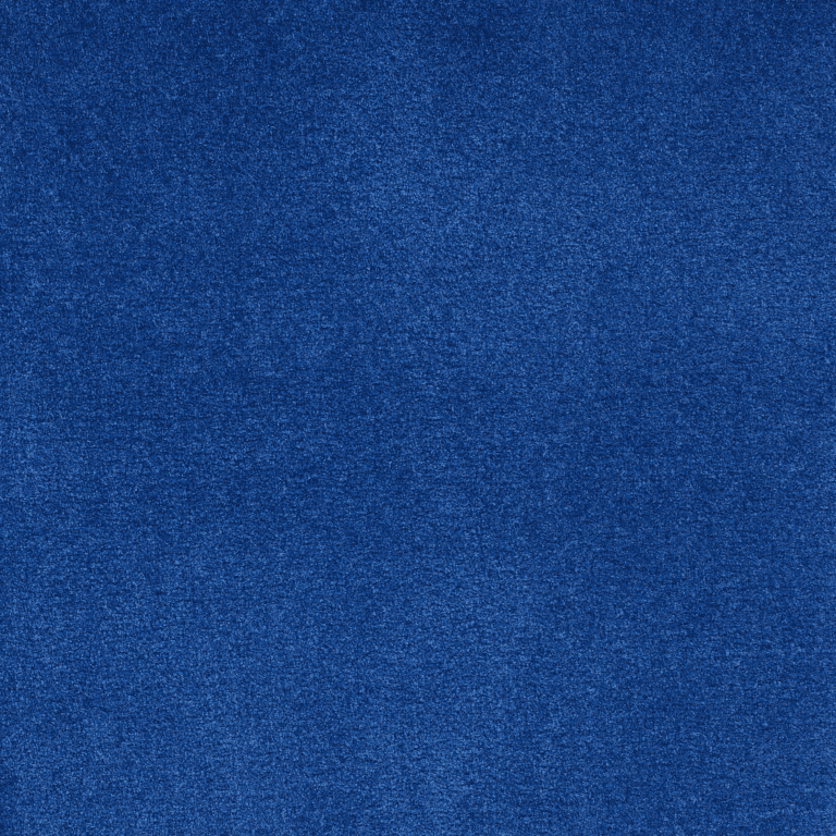 16 oz blueberry | Aisle Carpet | 16 Oz Carpet Options | The Inside Track