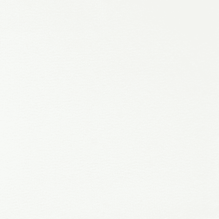 Majestic 3102 White 50 oz white | 50 Oz Carpet| Premum Carpet OptionsThe Inside Track