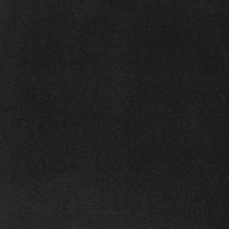 Majestic 3806 Black 50 oz black | 50 Oz Carpet | Premum Carpet Options | The Inside Track