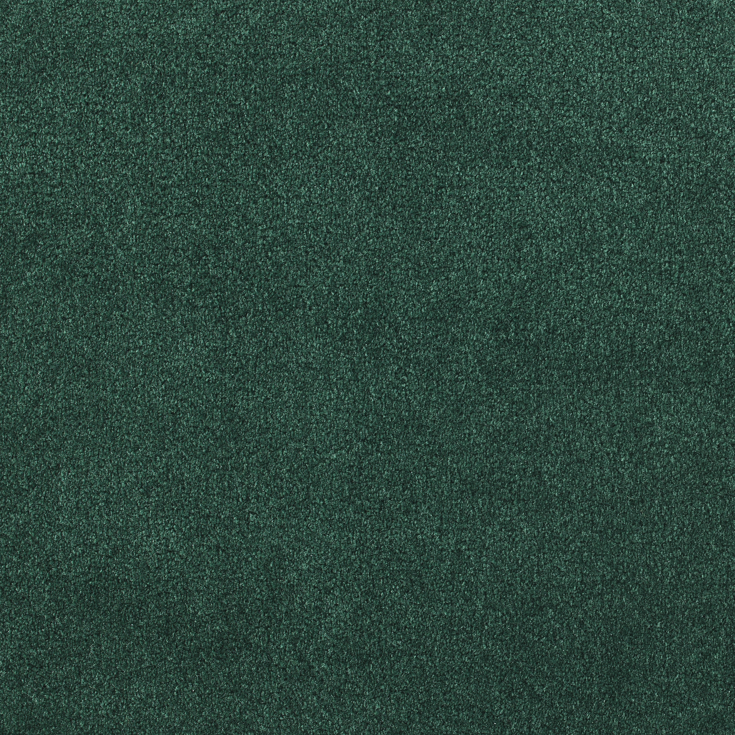 50 oz emerald | 50 Oz Carpet | Premum Carpet Options | The Inside Track