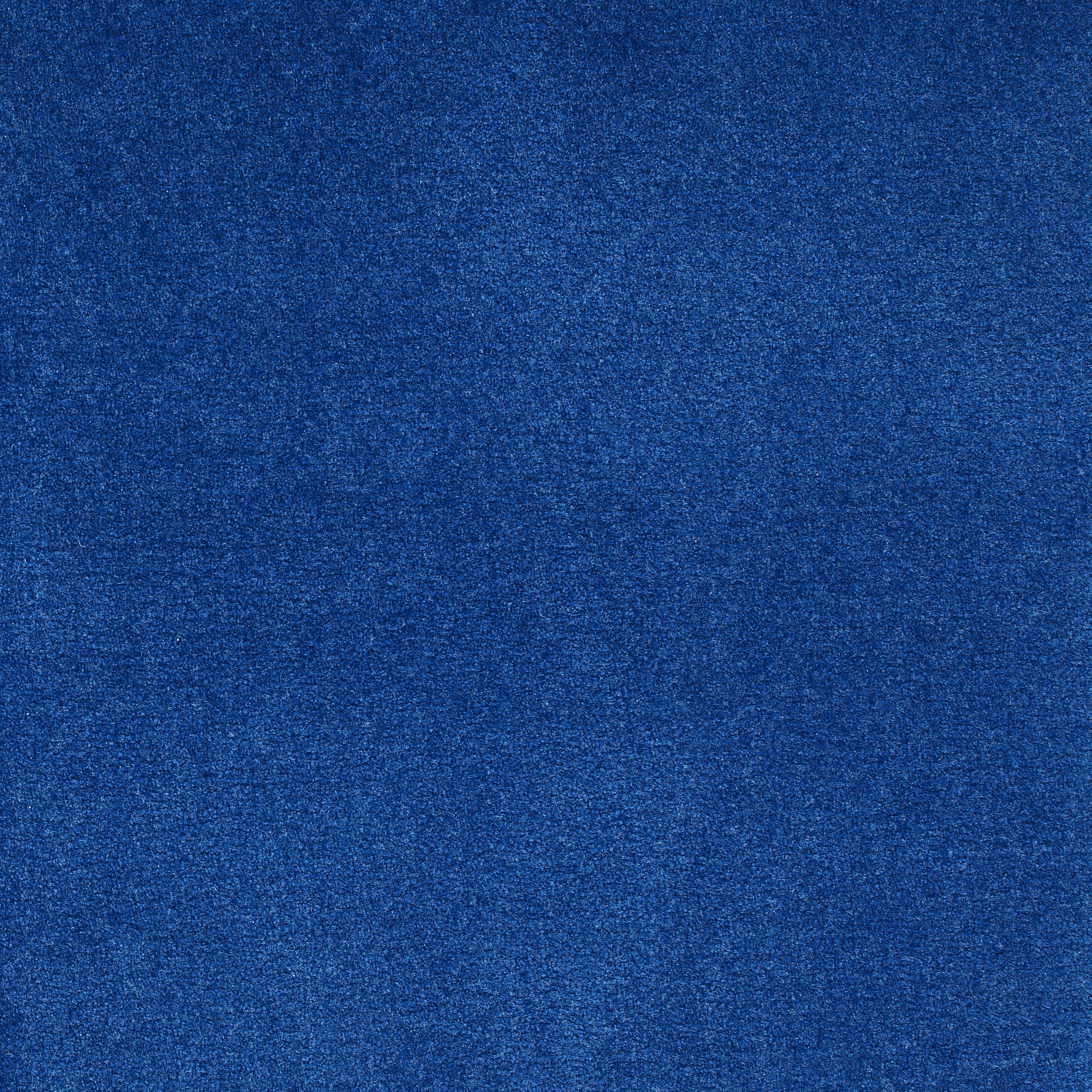 50 oz blueberry | 50 Oz Carpet | Premum Carpet Options | The Inside Track