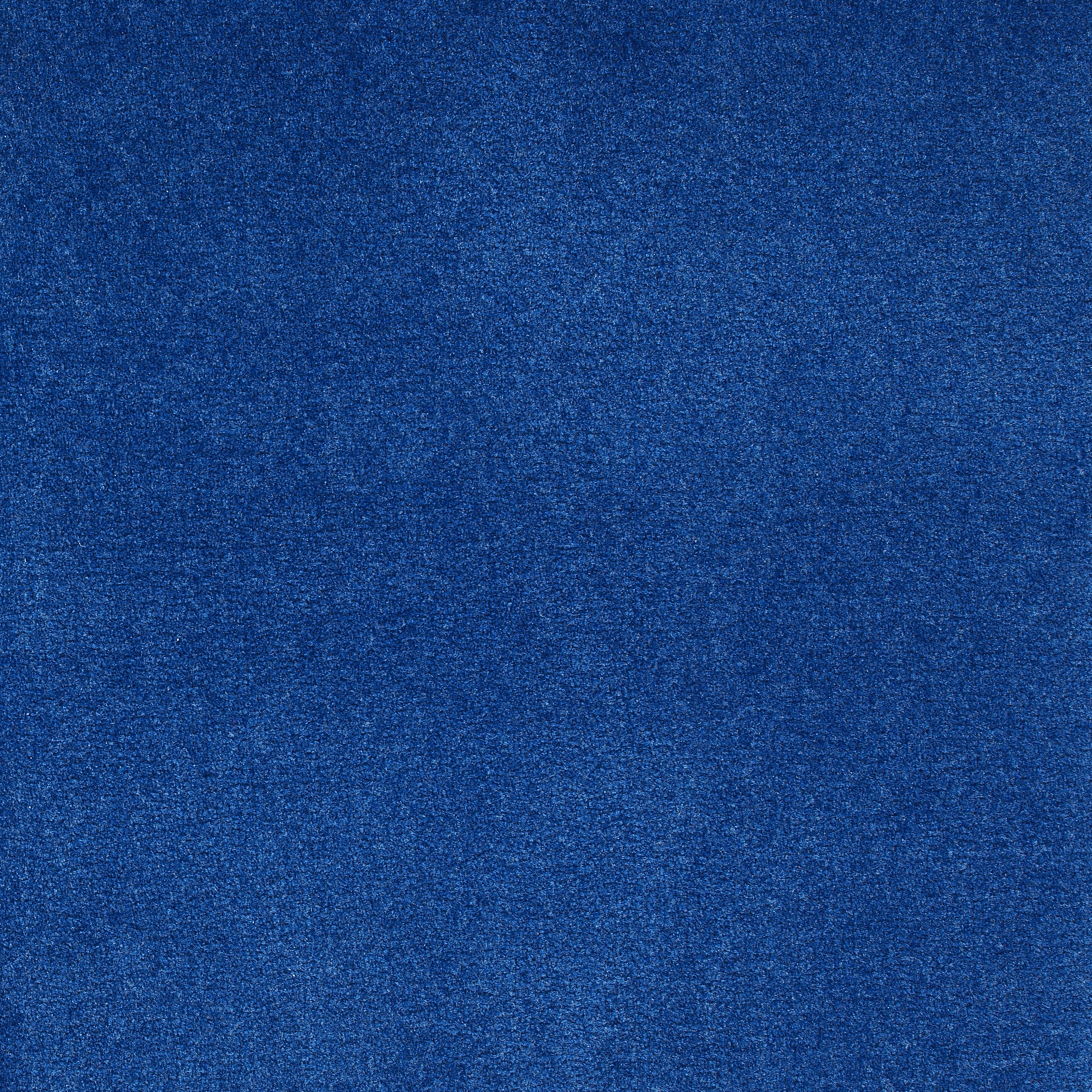 50 oz blueberry | 50 Oz Carpet | Premum Carpet Options | The Inside Track