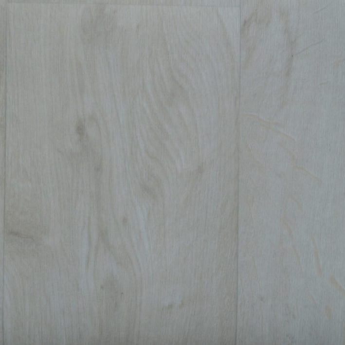 White Washed 11.21.24 White Washed 11.21.24